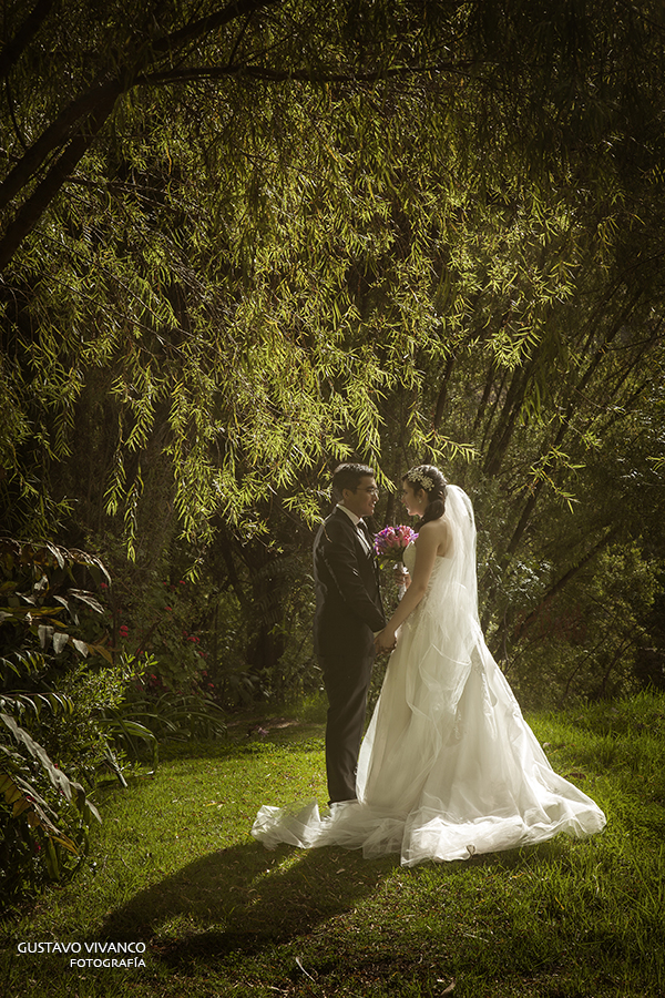 gustavo vivanco leon 03