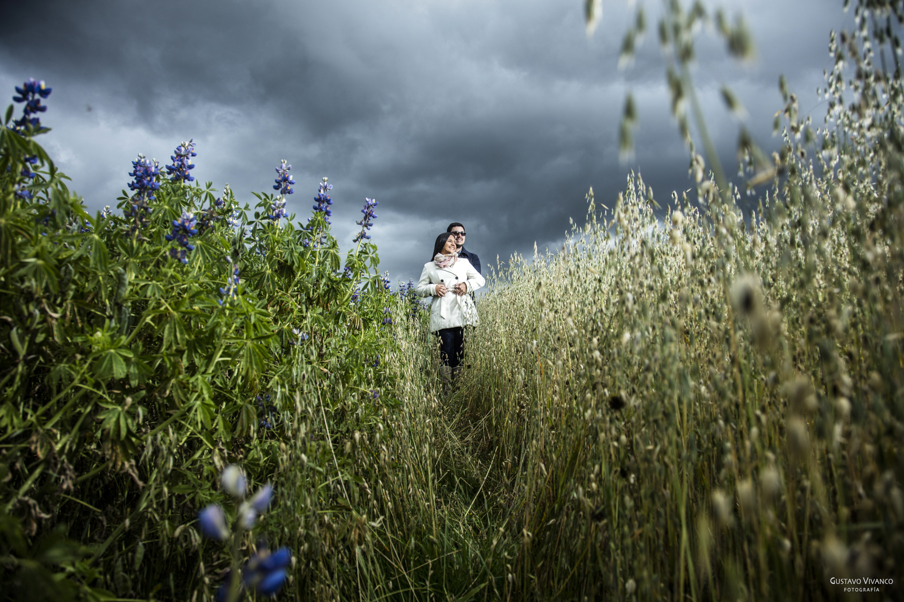 Elegidas R&amp;F web-1