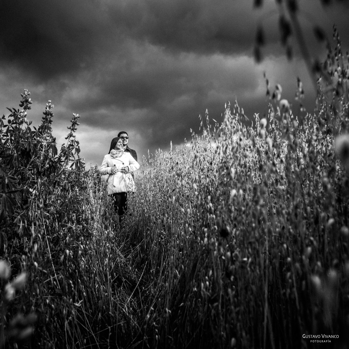 Elegidas R&amp;F web-2