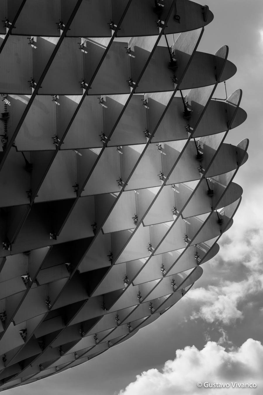 España Gustavo Vivanco-18