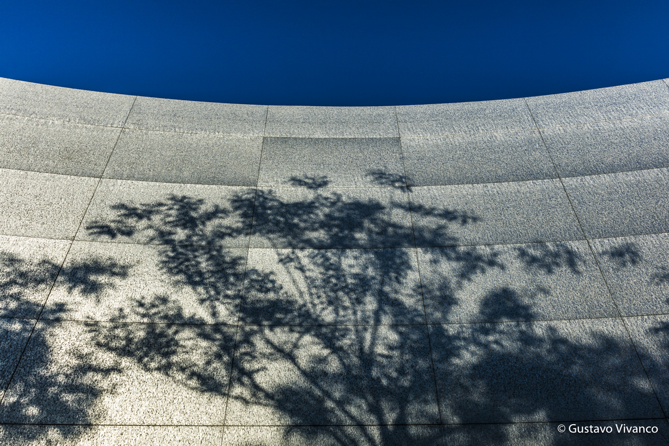 España Gustavo Vivanco-25