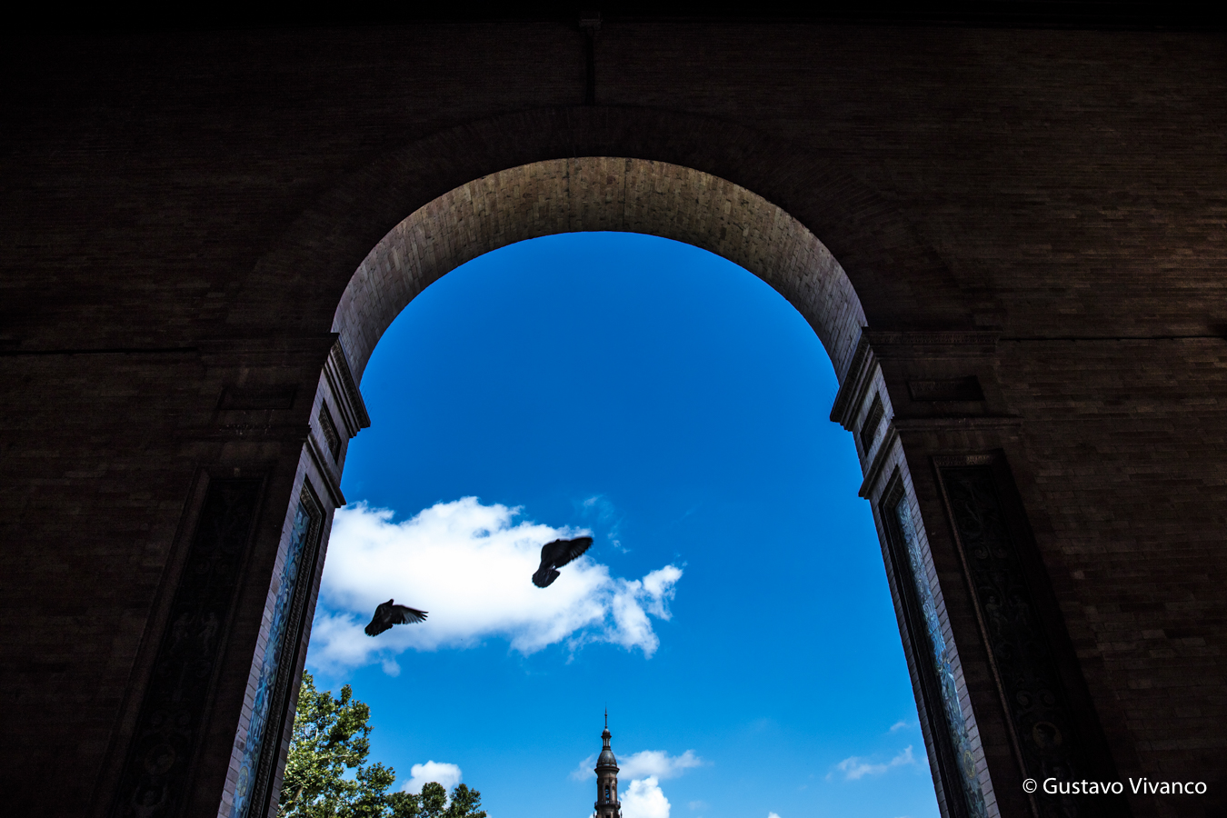 España Gustavo Vivanco-27