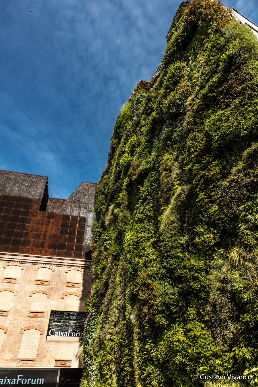 España Gustavo Vivanco-8